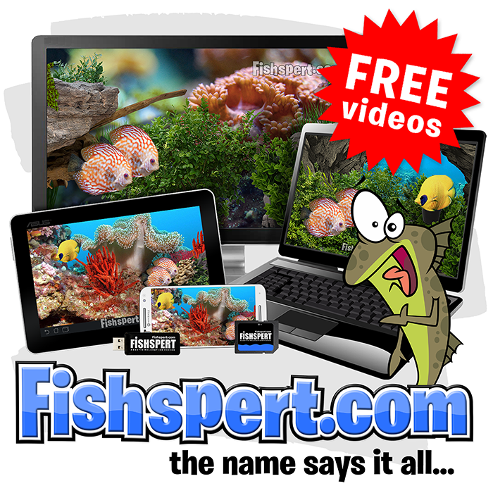 Free High quality Aquarium videos by Fishspert.com