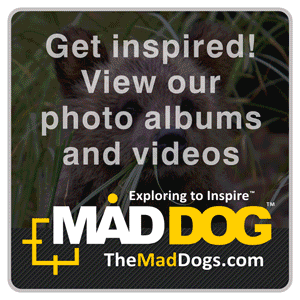 Video created by TheMadDogs.com - Visit our website